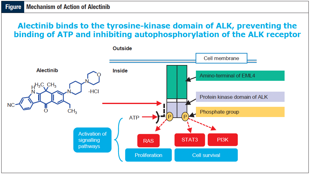 Alectinib An Anaplastic Lymphoma Kinase Alk Inhibitor Value Based Cancer Care 