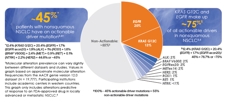 What Is Biomarker Testing For Stage Iv Metastatic Nsclc