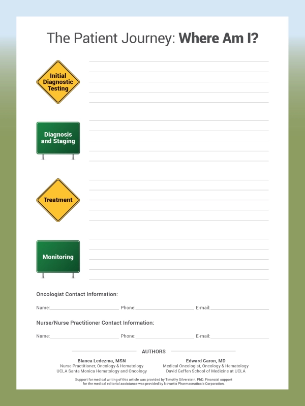 The Lung Cancer Patient Journey Page 2
